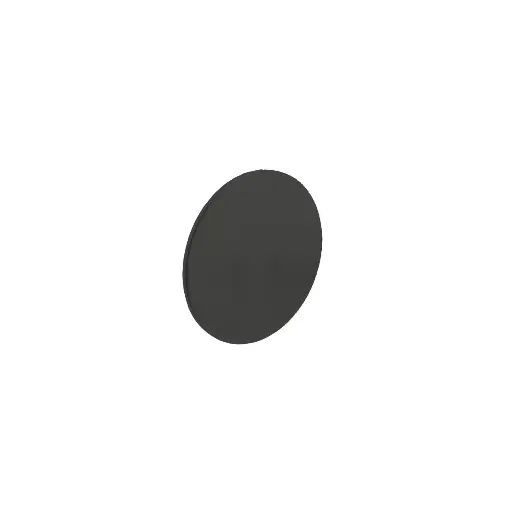 [0023.340319] Afdek rozet blind rond zwart zelfklevend 55x2mm